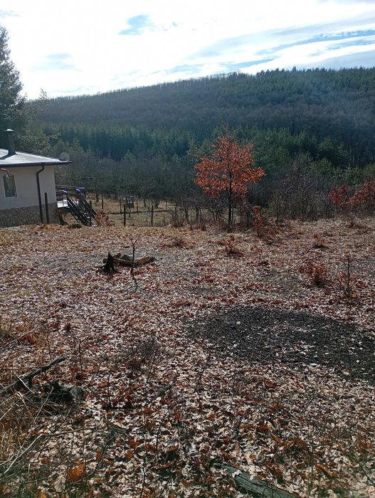 Имот в с.Дреново