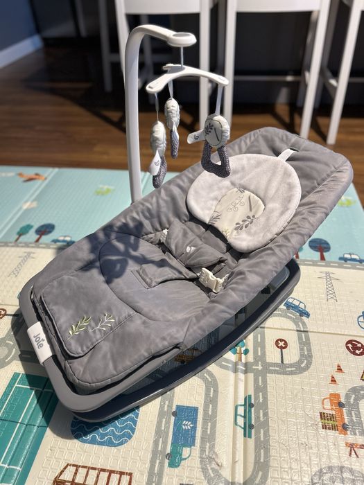 Balansoar cu vibratii si muzica Dreamer, Fern, 0luni-13Kg, Joie