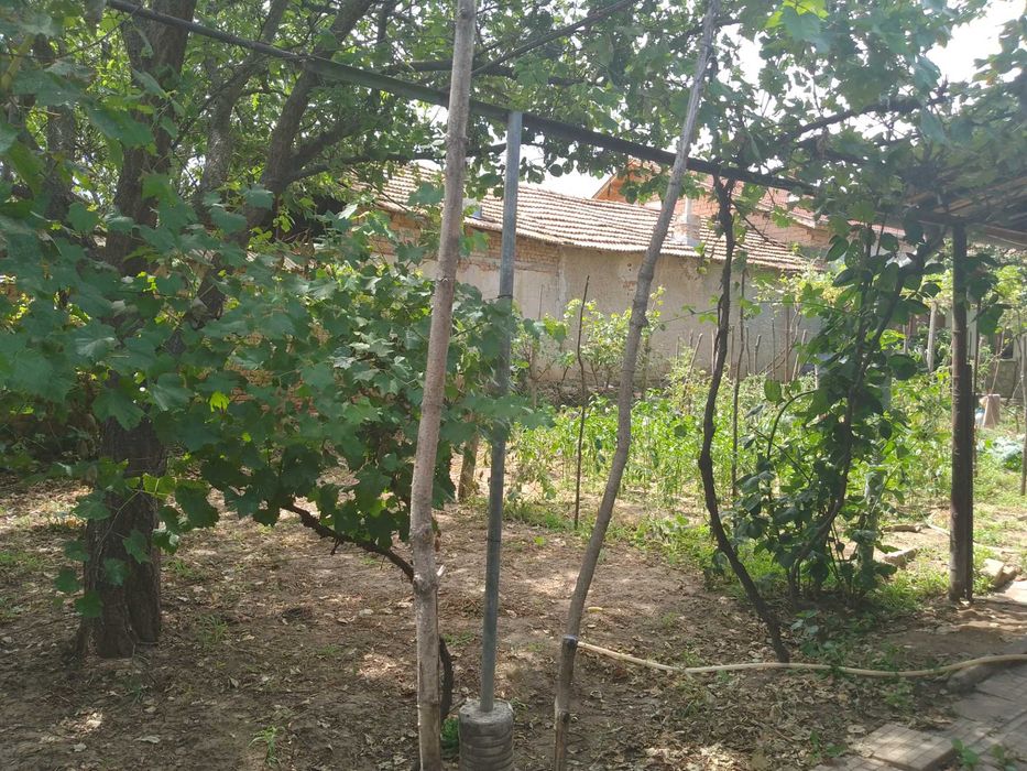 Продава се Къща в с. Садовец, Област Плевен - 505 кв.м за 46 €/кв.м - Снимка #18