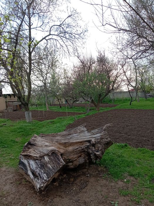 Тошкент вилоятида Бостонлик тумани октошда участка Ер сотилади