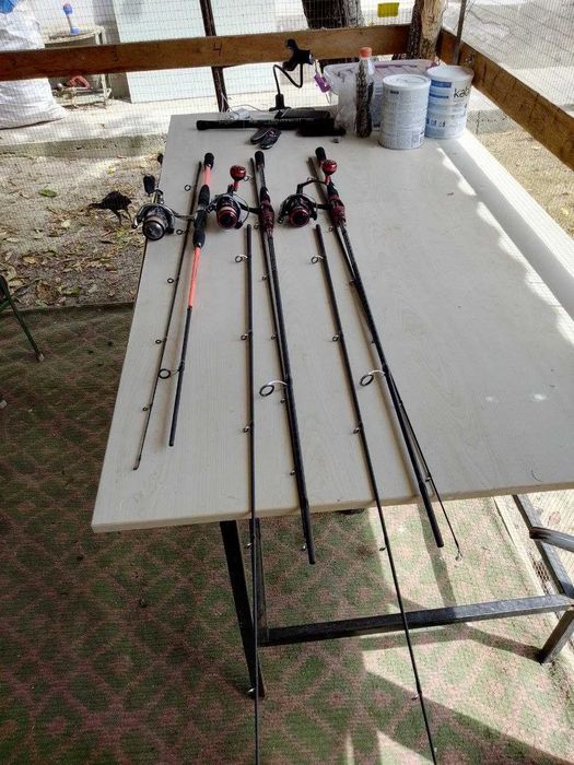 Baliqchlia wottamisila