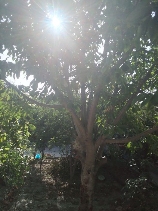 Саёхатда 3 хонали котеж срочни сотилади