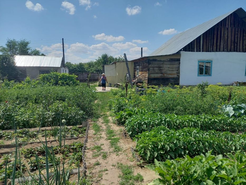 Восточный правый 2 дачи 201