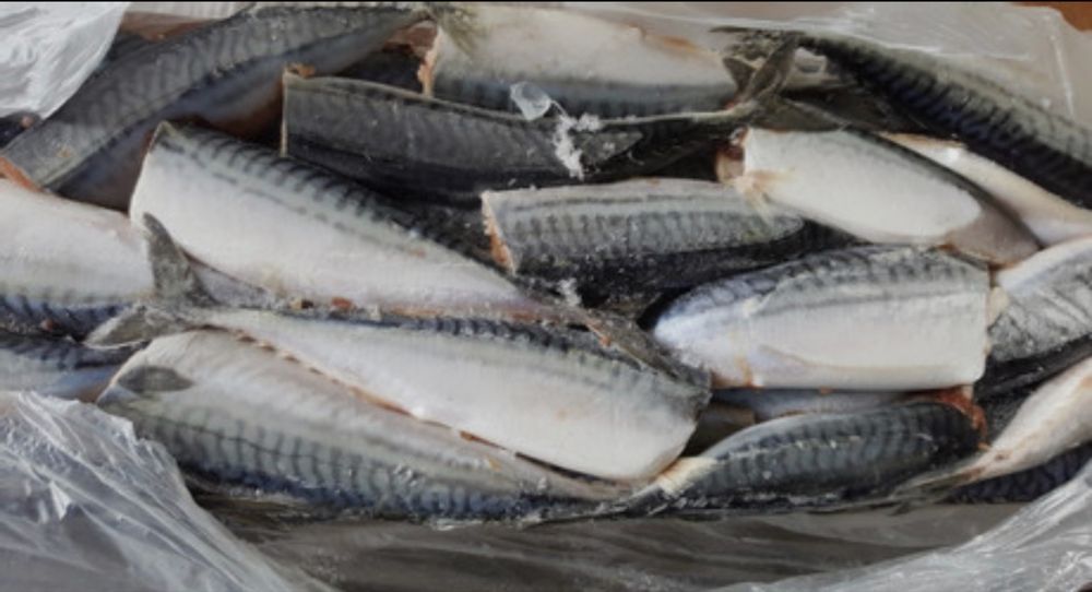 Продам оптом сельд и скумбрию
