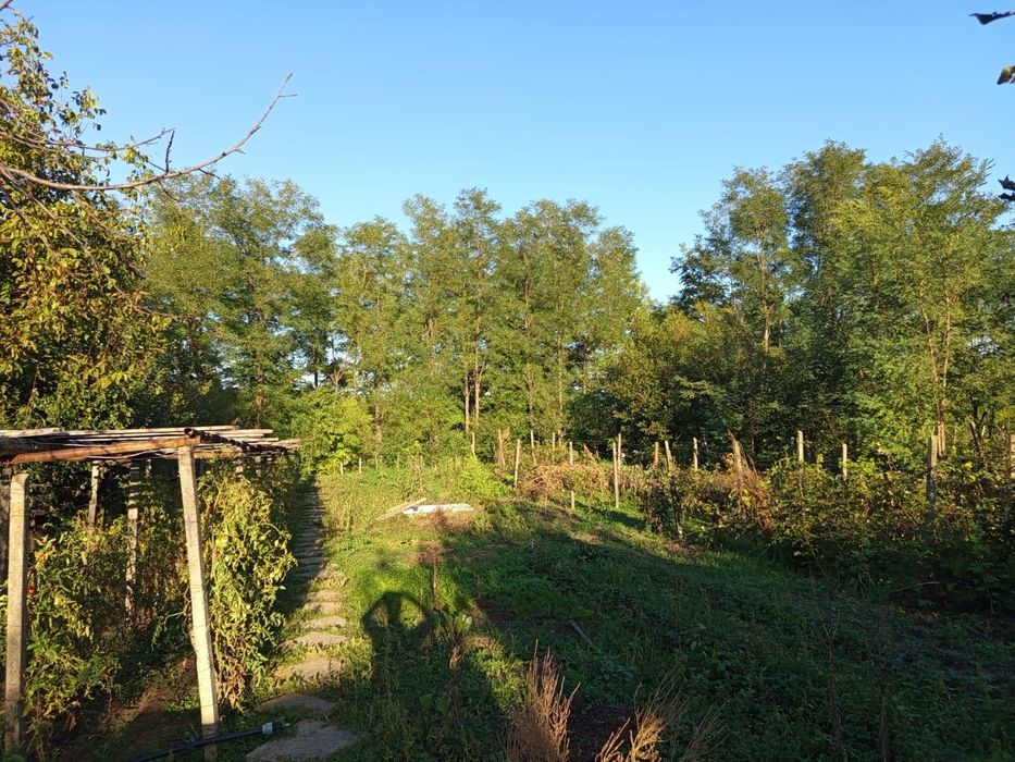 Casa de vânzare  Tg frumos