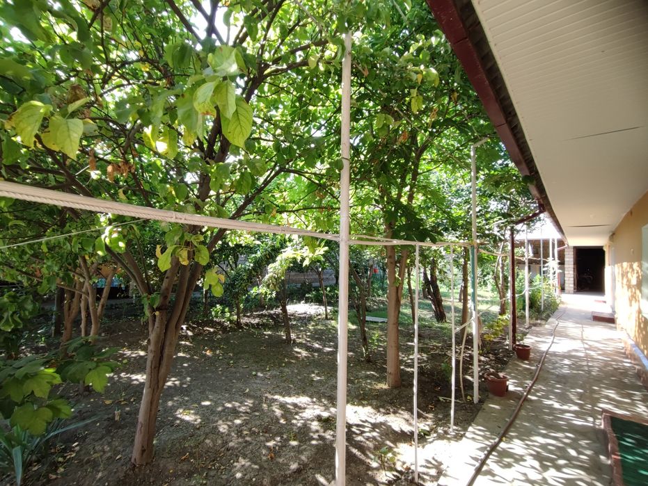 Уй сотилади баликчи мфй