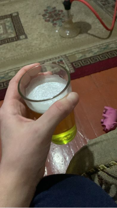 джунгарские хомяки