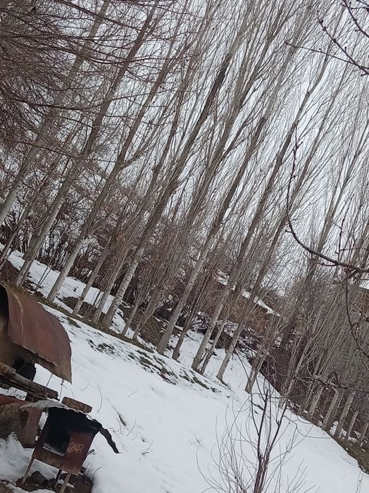 За городом в селле