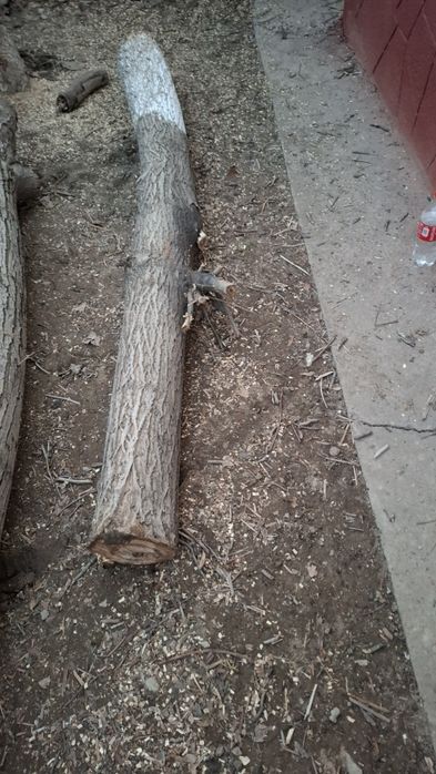 Продам два орех(столб)