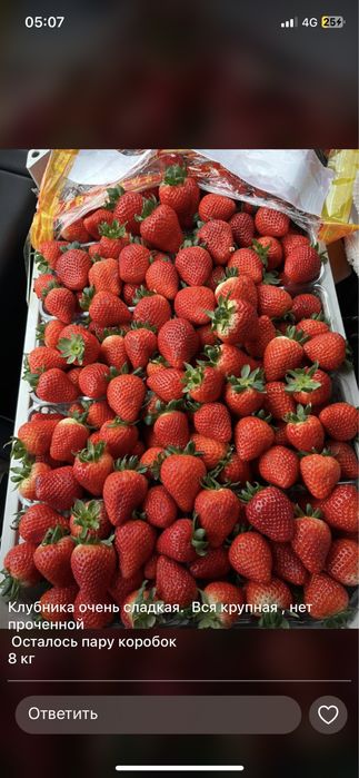 Клубника ящик 8 кг