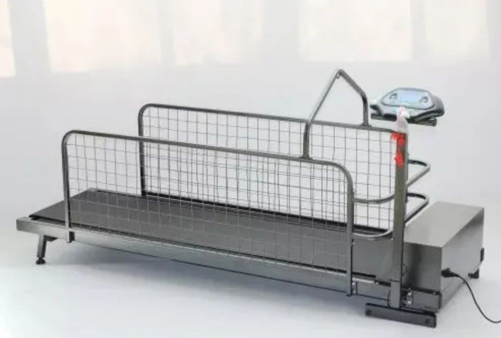 продам беговую для собак