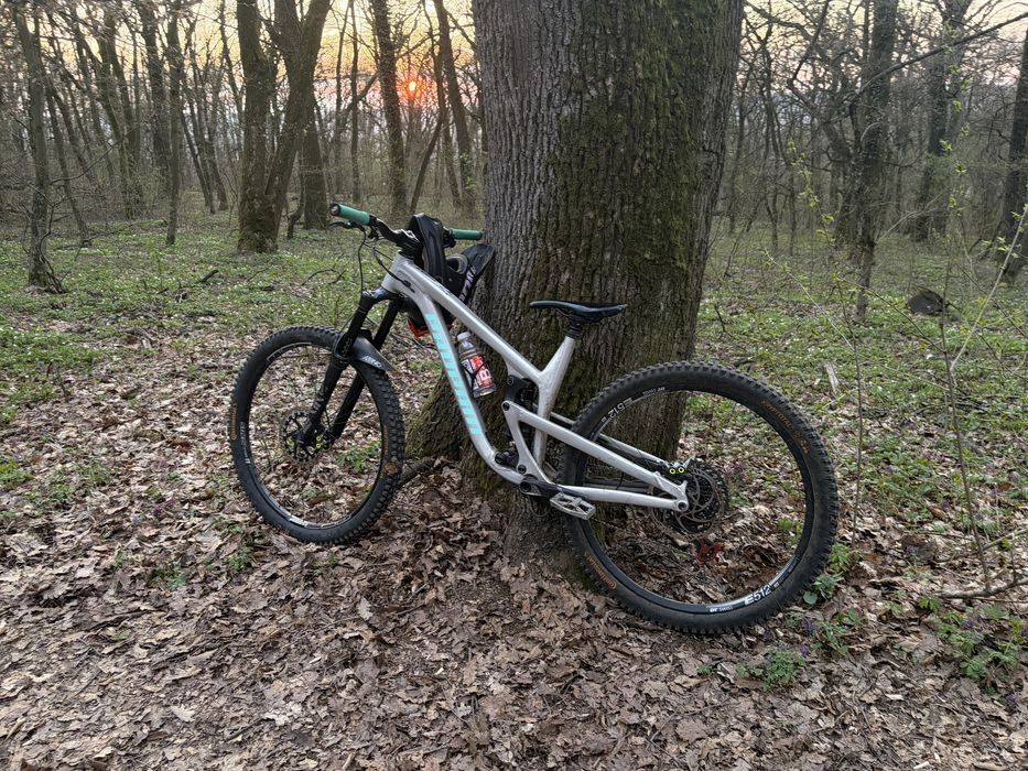 Bicicleta propain tyee al 5