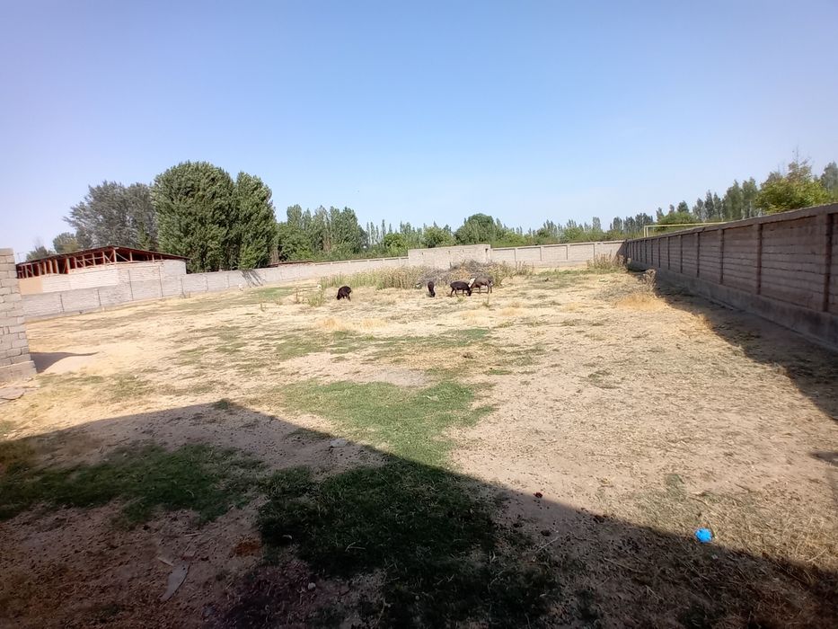 Yunsobid zenit hasanboyda yer sotiladi 12sutu