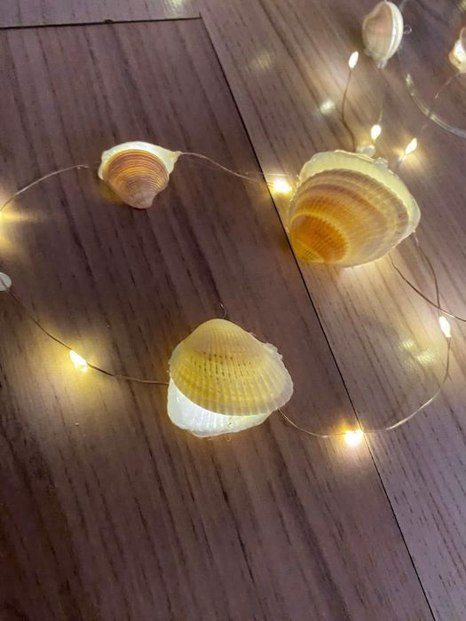 Здравейте продавам мидени лампички много са яки ръчно изработени са