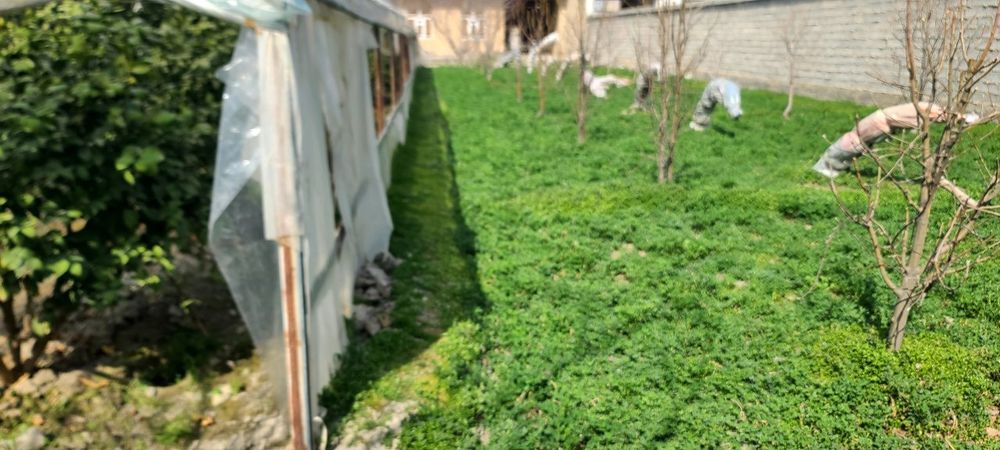 Yer uchaska sotiladi