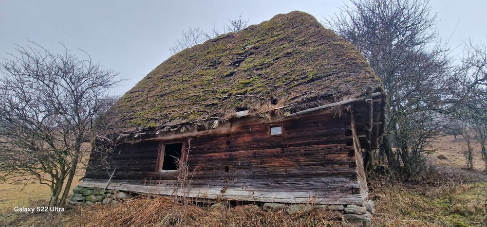 Vând șură veche din  lemn de brad