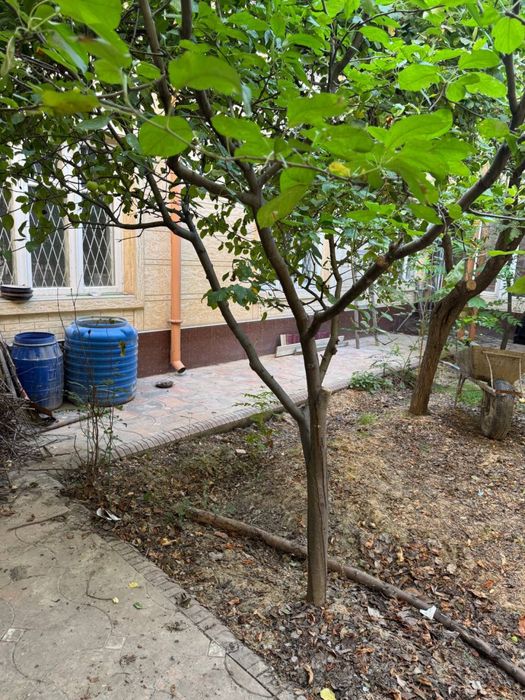 Продается участок на ракате 3.82 соток под строительство