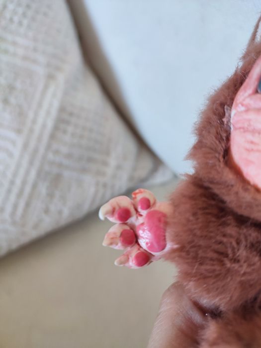 Лимитирано лабубу