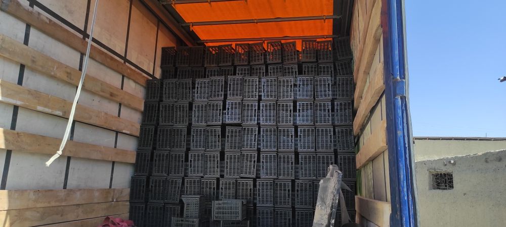 Yashik karzinka 17, lik