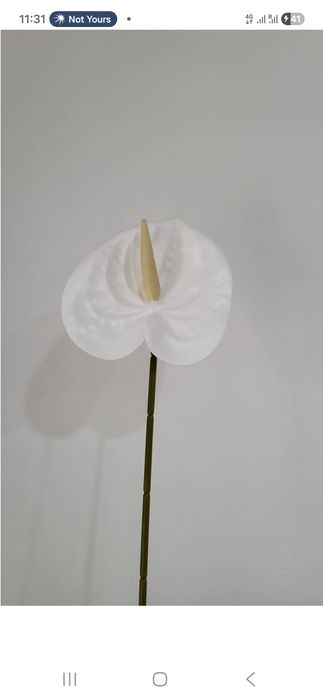 Продам искуственные цветы