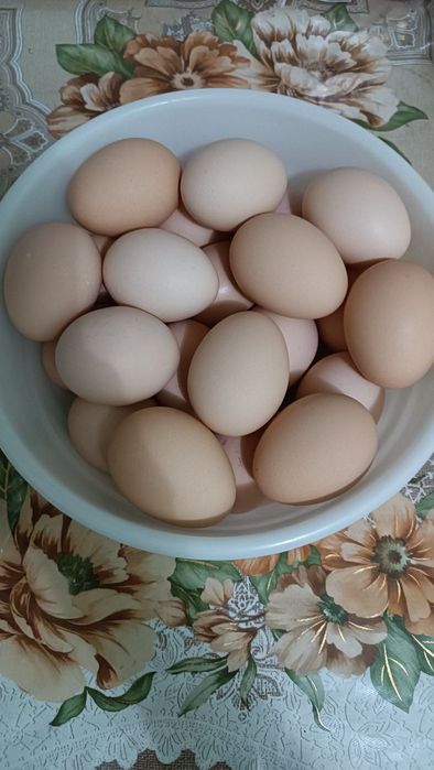 Тухум хонаки сотилади.