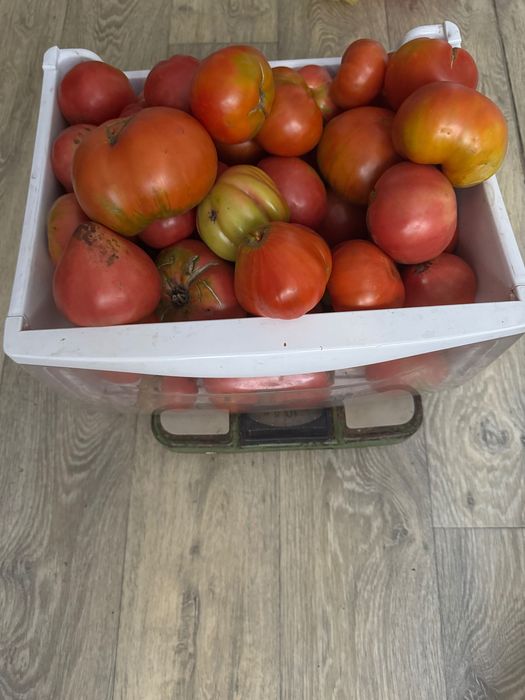 Продам помидоры 1 кг, 2 кг , 10 кг