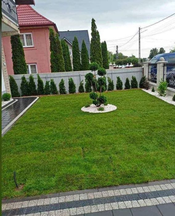 Plante ornamenatle si gazon rulou cu sistem de irigati