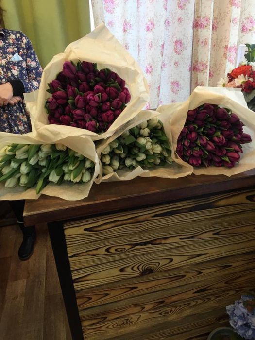 Степногорские Тюльпаны