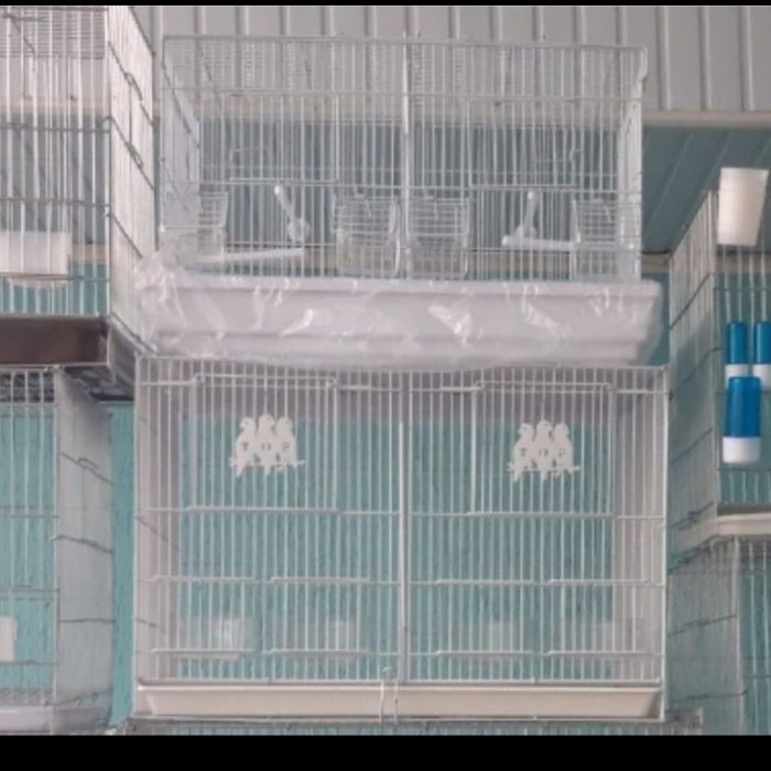 ПОПУГАИ,Клетки , корма