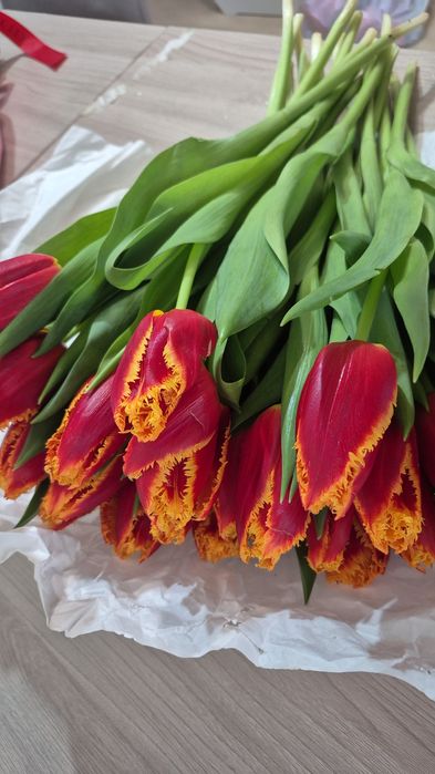 Тюльпаны Усть-Каменогорск