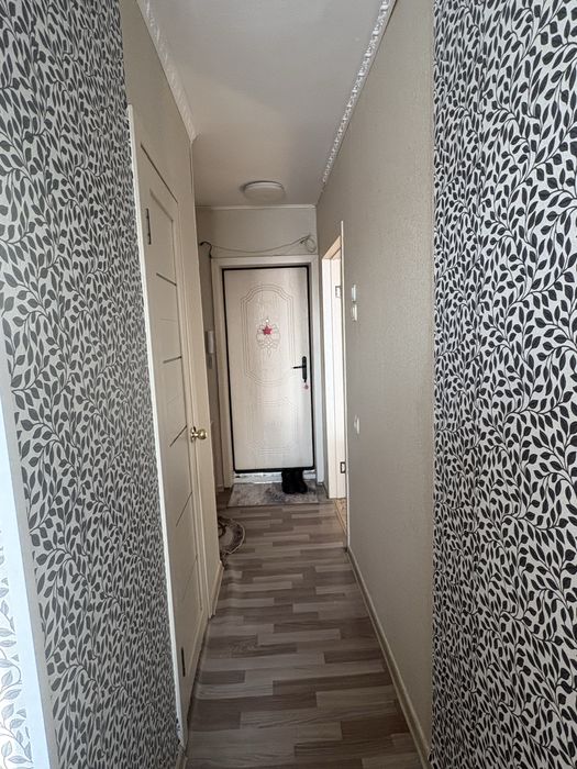 1 комнатная квартира