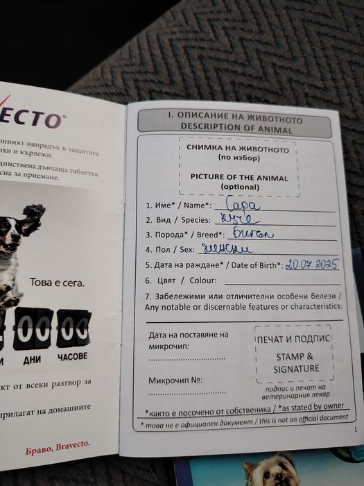 Куче на 6 м.Бигъл