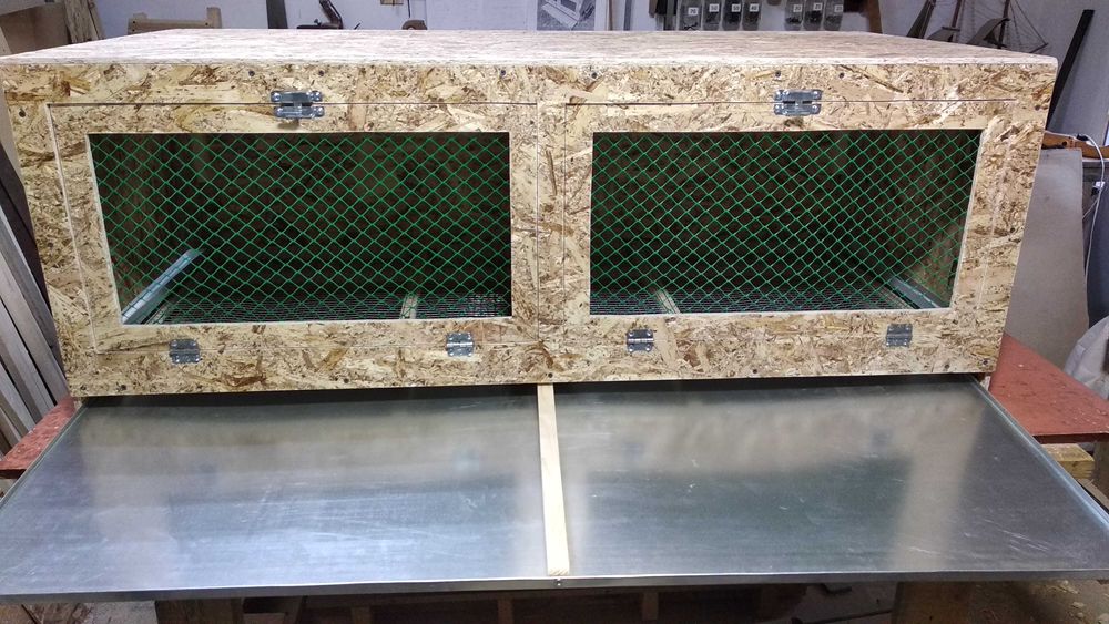 Брудер для цыплят