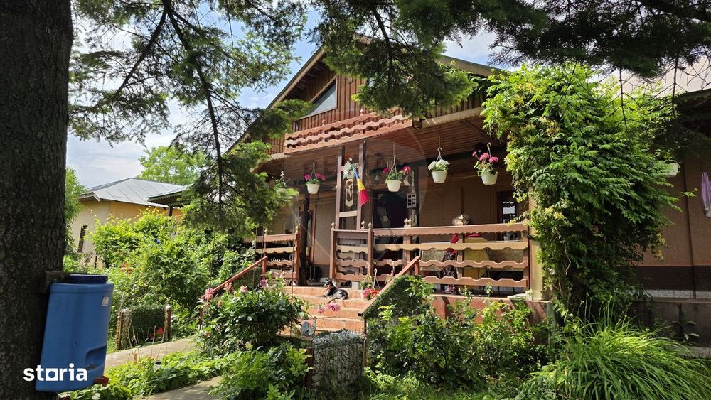 Domeniu rural, gospodarie/multifunctionala cu casa, livada, vie