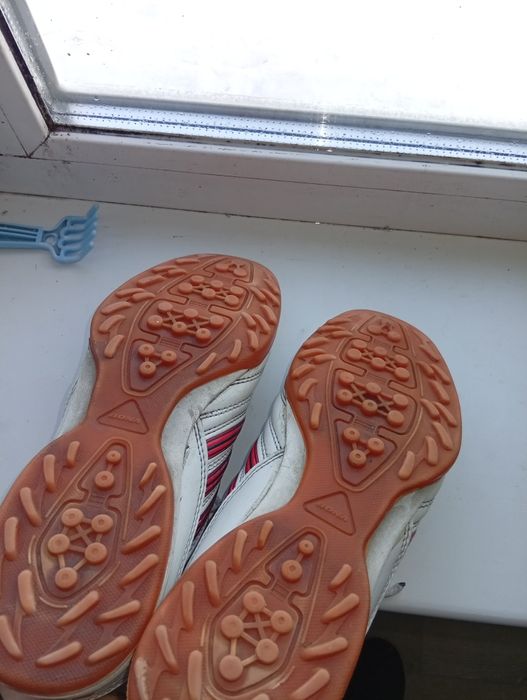 Сороконожкий хороший