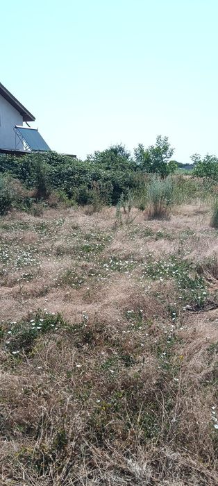 Vând teren Zona Noua Adunații Copaceni. 14 km de București