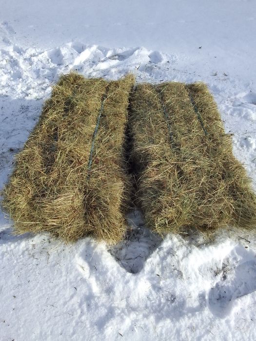 Vând baloții de fan