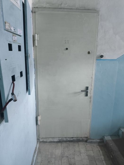 Железный дверь в хорошем состоянии с двумя замками.