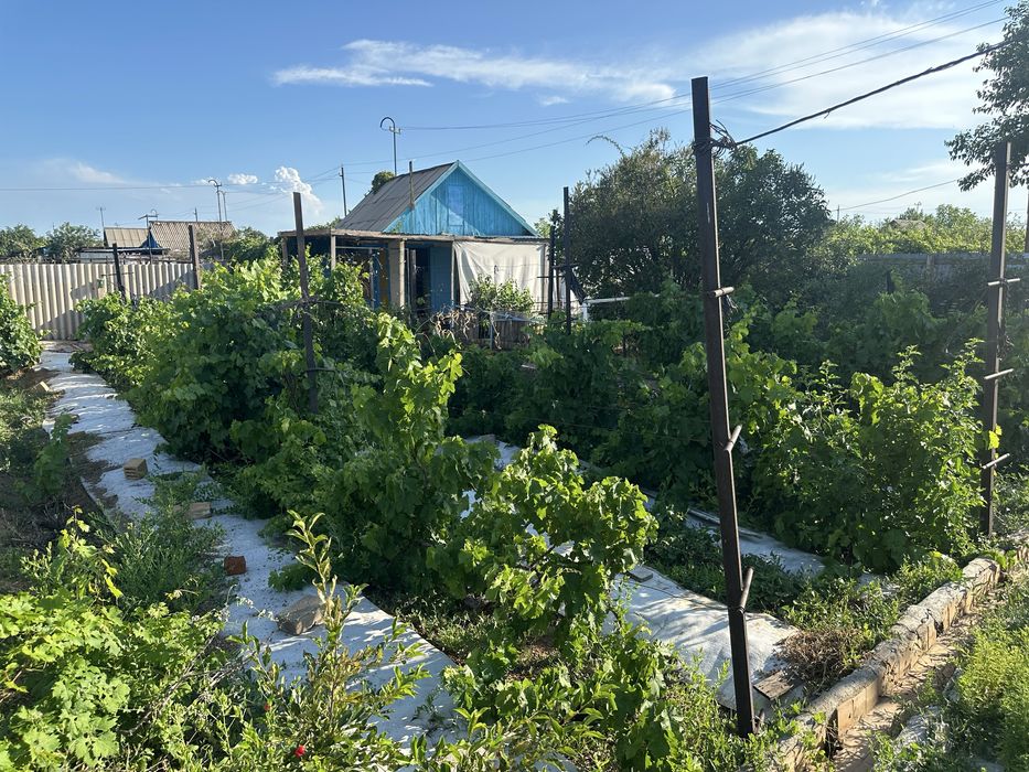 Продается дача на 1 водоколонке