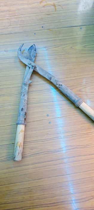 Секатор для обрезки Кустов