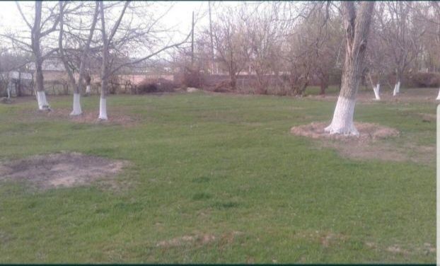 Участка сотилади срочно!