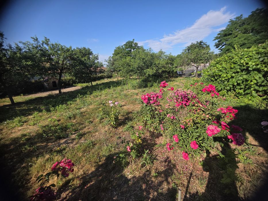 Casa Batraneasca  minunată Buzău