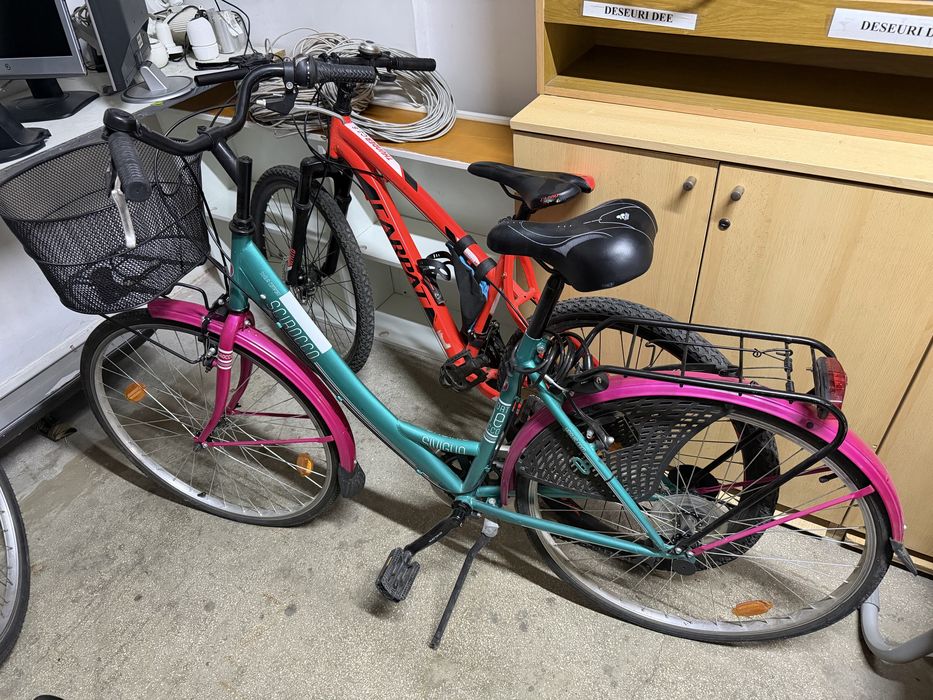 Bicicleta  adulti