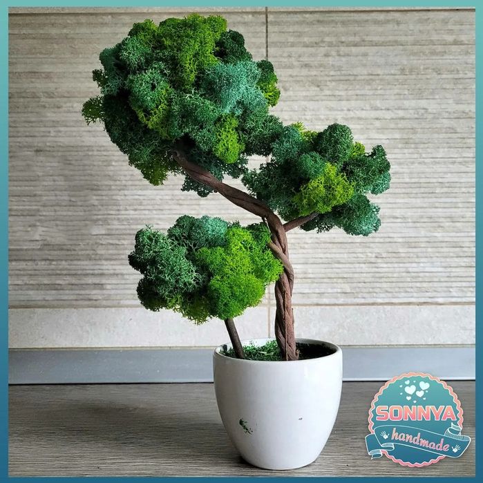 Copac cu 3 ramuri , cu licheni stabilizati