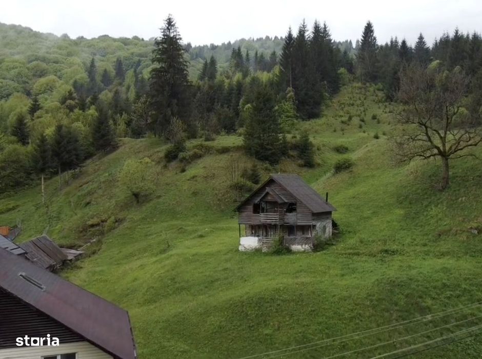 Teren intravilan 7.228 mp cu construcții, Sătic-Rucăr, Argeș