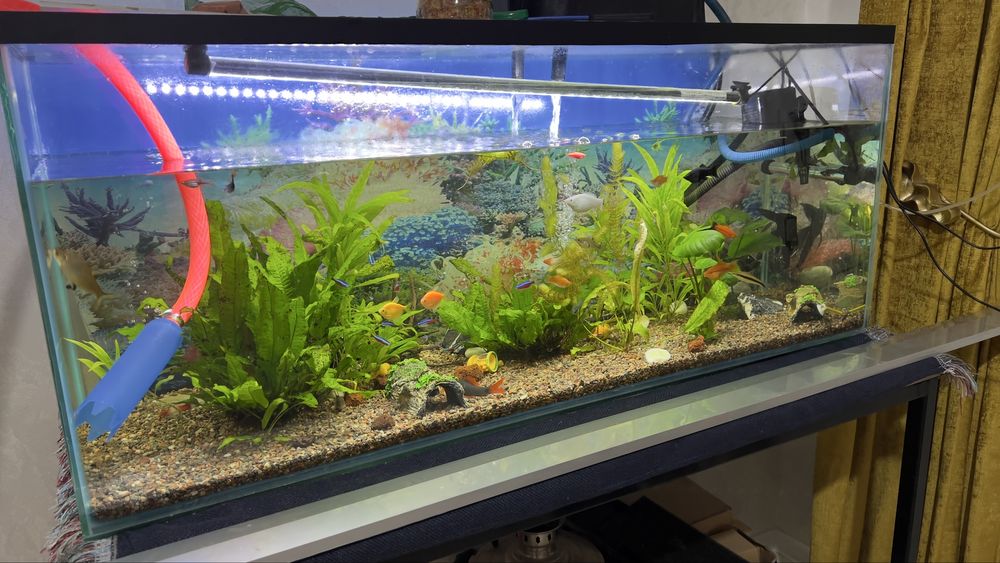 Аквариум 240литров