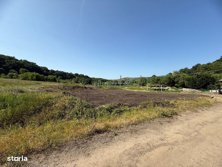 Teren de vanzare la liziera padurii  Sura Mare