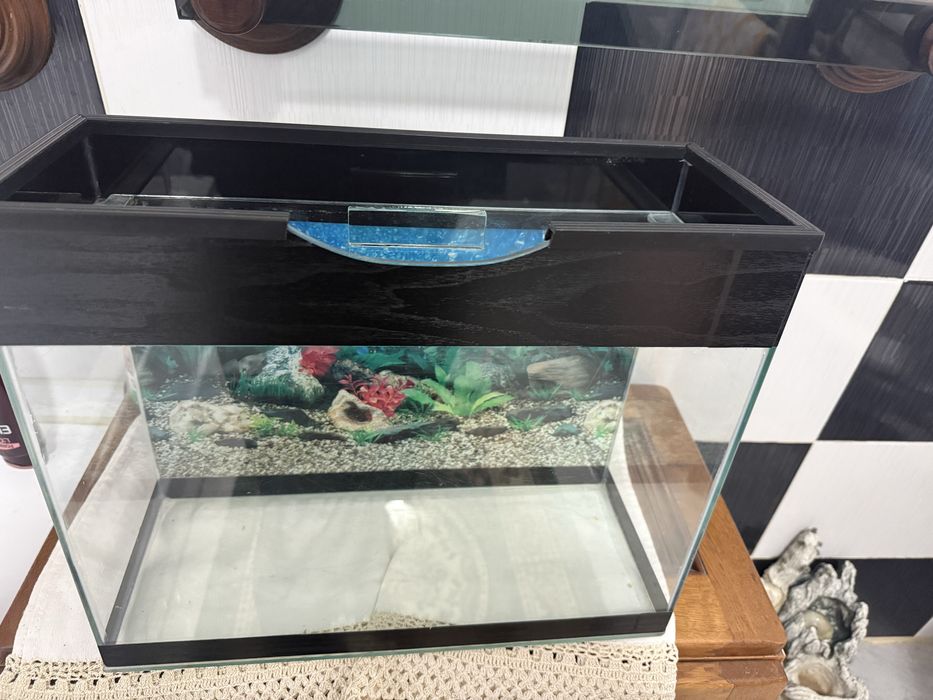 Acvariu 19 litri