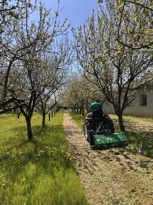 Почистване на дворове, парцели, овощни градини, солари с мулчер