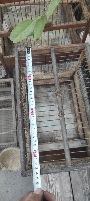 Клетка ,катаклар